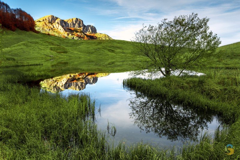 Őserdő medvével és farkassal – Sutjeska Nemzeti Park, Bosznia-Hercegovina