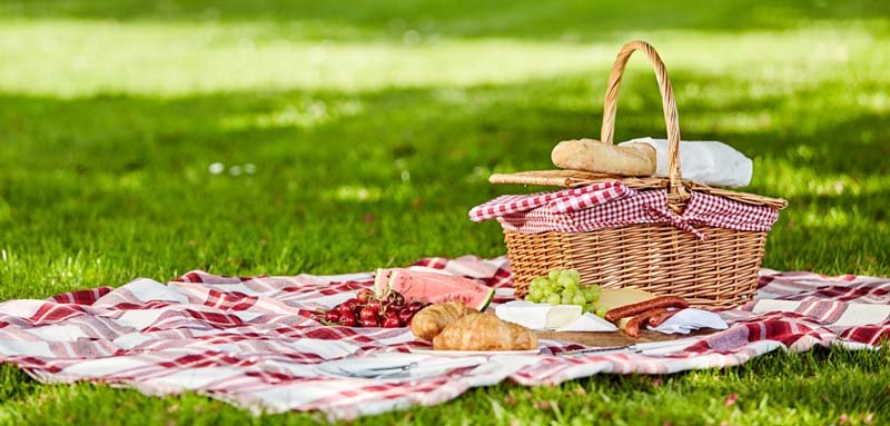 Delicious picnic spread with fresh food